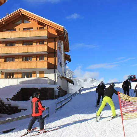 Aquila 7 Penthouse Apartment Wengen